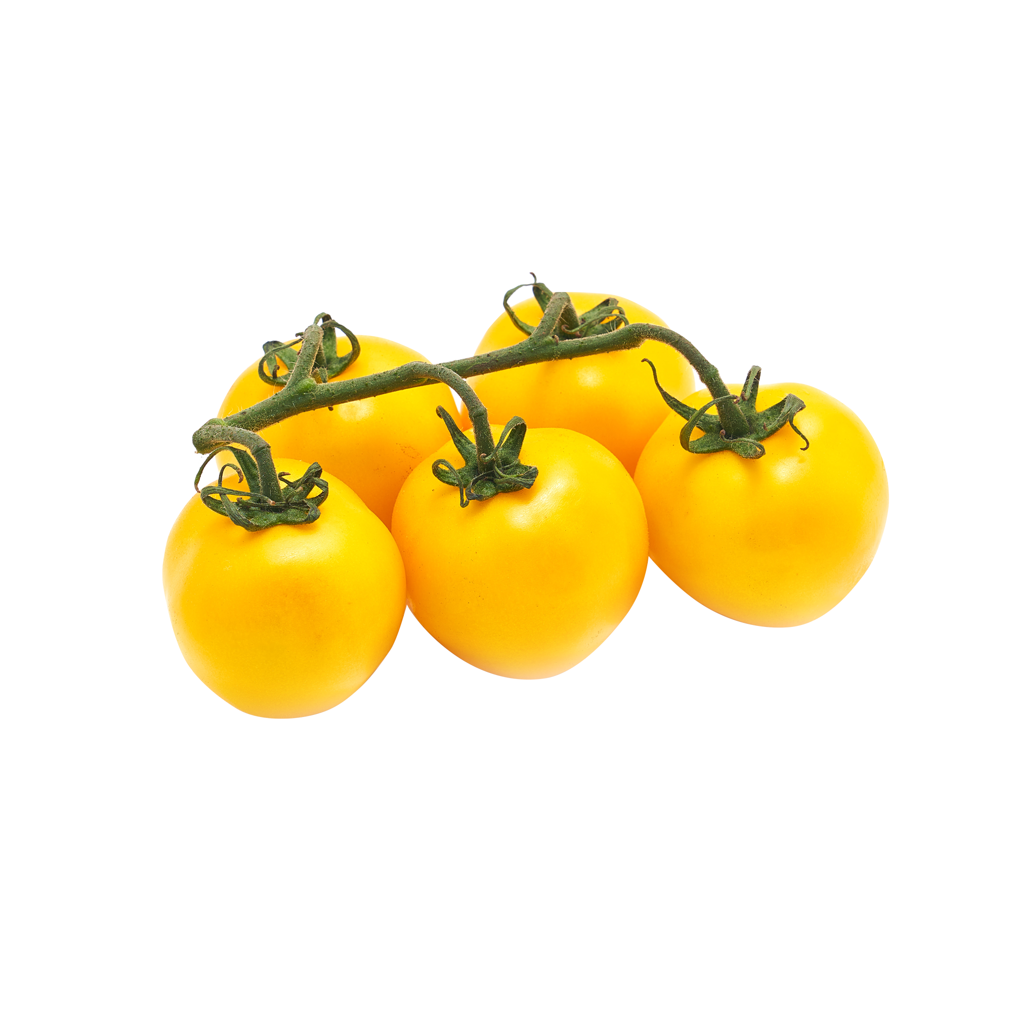 Yellow Tomatoes on-the-vine